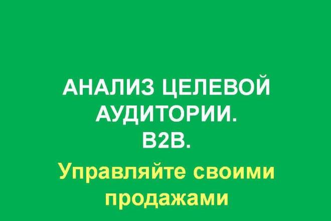 Анализ целевой аудитории, маркетинговое исследование