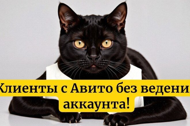 Клиенты с Авито без ведения аккаунта