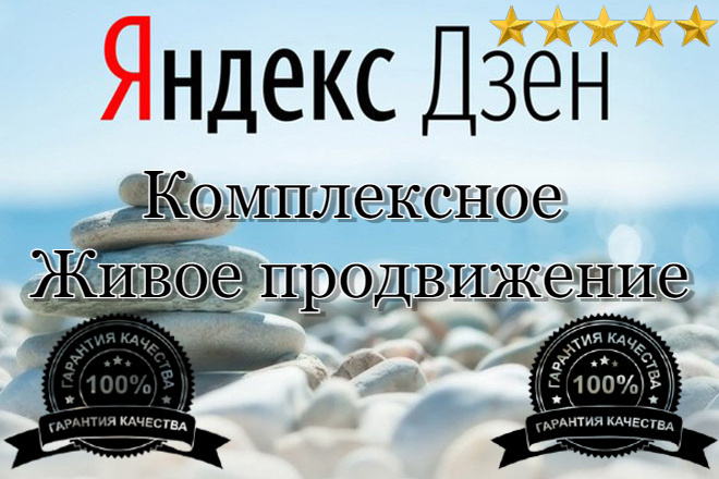 Комплексное продвижение для Яндекс Дзена. Подписчики, просмотры, лайки