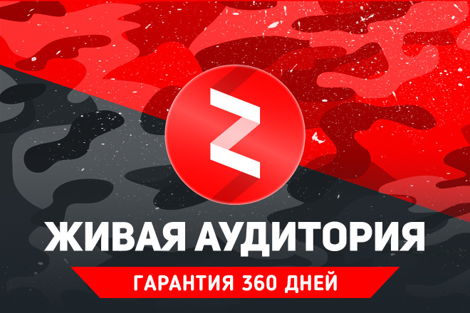 Комплексное продвижение Яндекс Дзен. Живая аудитория