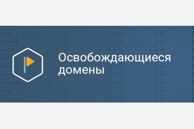 Консультация по отбору и регистрации освобождающихся доменов в зоне RU