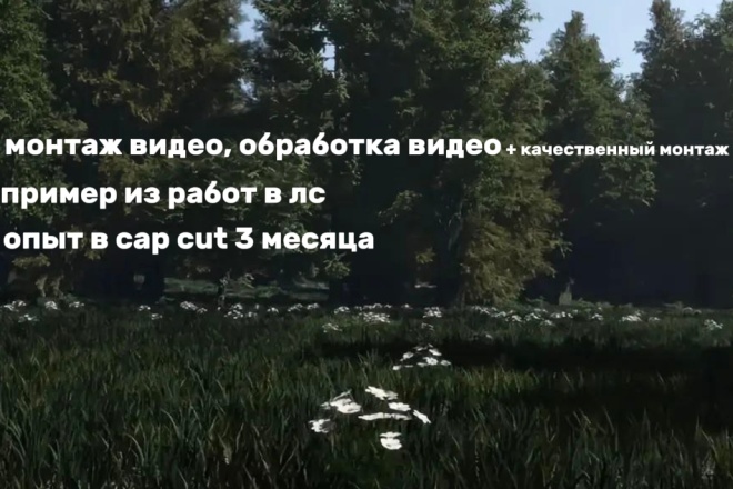 Монтаж видео + обработка видео