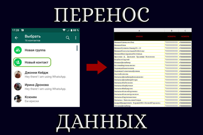 Перенос и фильтрация данных в Excel. Экспорт контактов