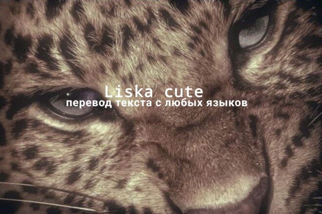 Переведу любые текста или видео с 1 языка на 2
