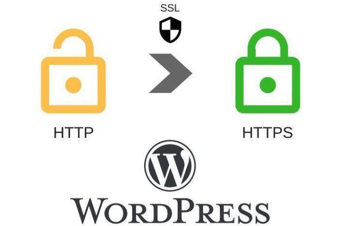 Перевод сайта WordPress на https