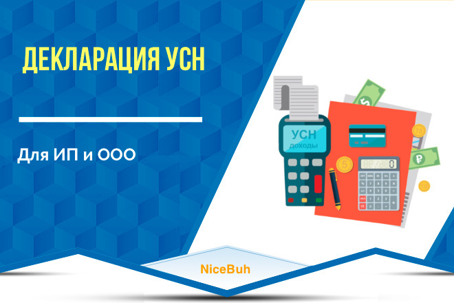 Подготовлю Декларацию по УСН для ИП и ООО