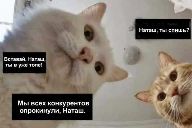 Продающие тексты для разделов и категорий вашего сайта