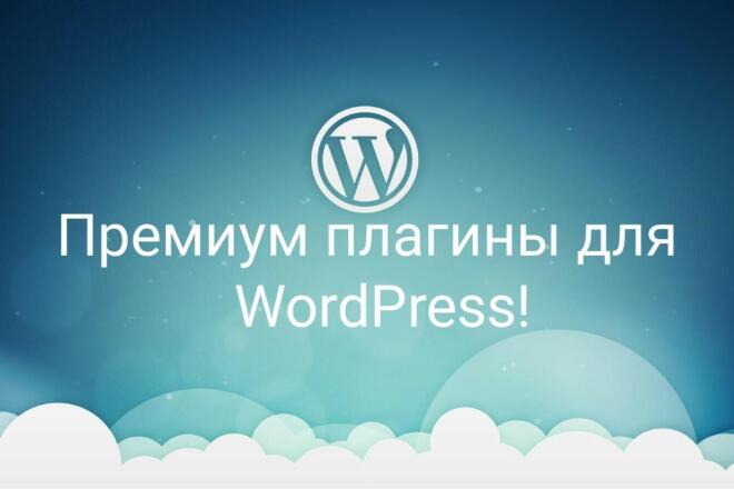 Продажа премиум плагины для WordPress: даю тестировать перед покупкой