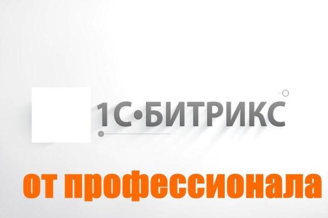 Профессиональная помощь в создании сайта или магазина Битрикс