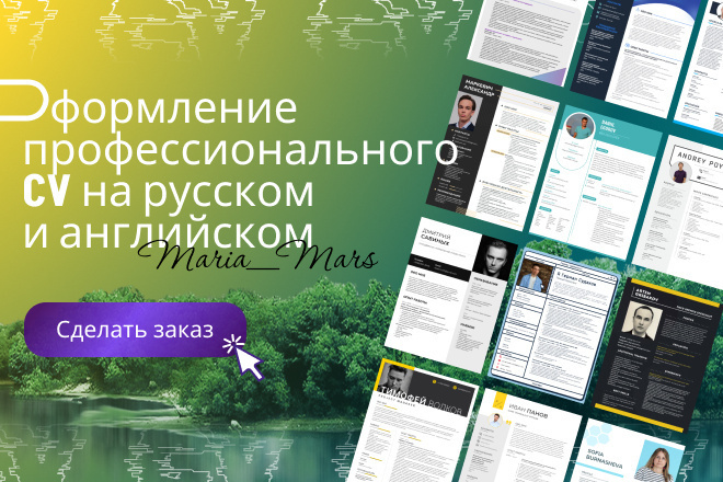 Профессиональное резюме CV