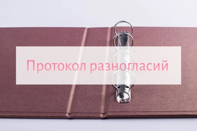 Протокол разногласий