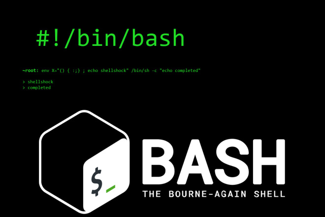 Script на Bash. Напишу скрипт специально для Вас