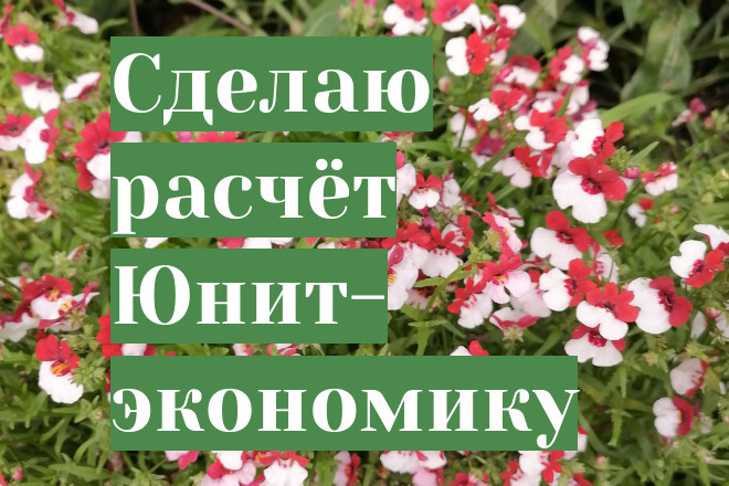 Сделаю расчёт Юнит-экономика