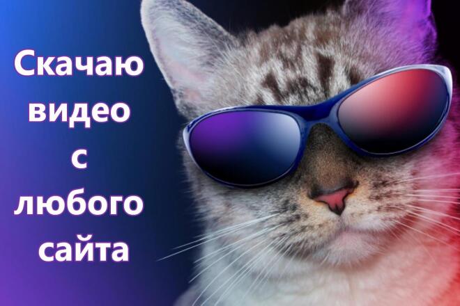 Скачаю видео с любого сайта
