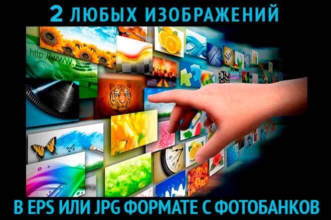 Скачивание картинок - фото и вектор, с фотобанков