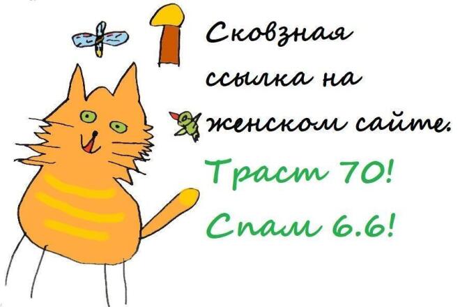 Сквозная ссылка, баннер на Московском женском сайте. Траст 70
