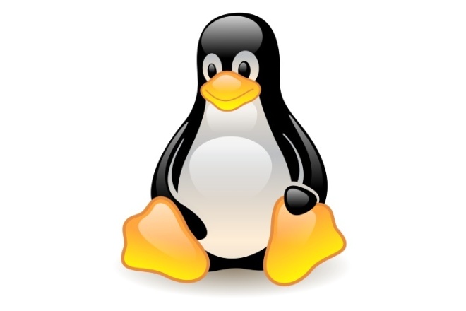 Установка и настройка Linux для начинающих