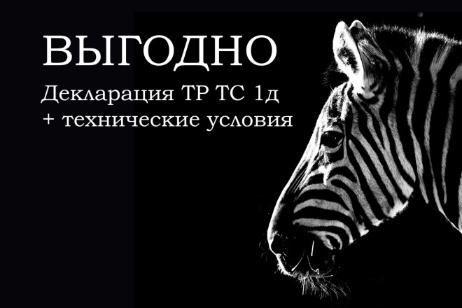 Выгодно: декларация ТР ТС 1д + технические условия