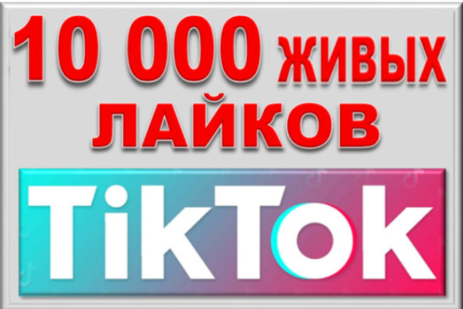Я займусь органическим продвижением и ростом TikTok